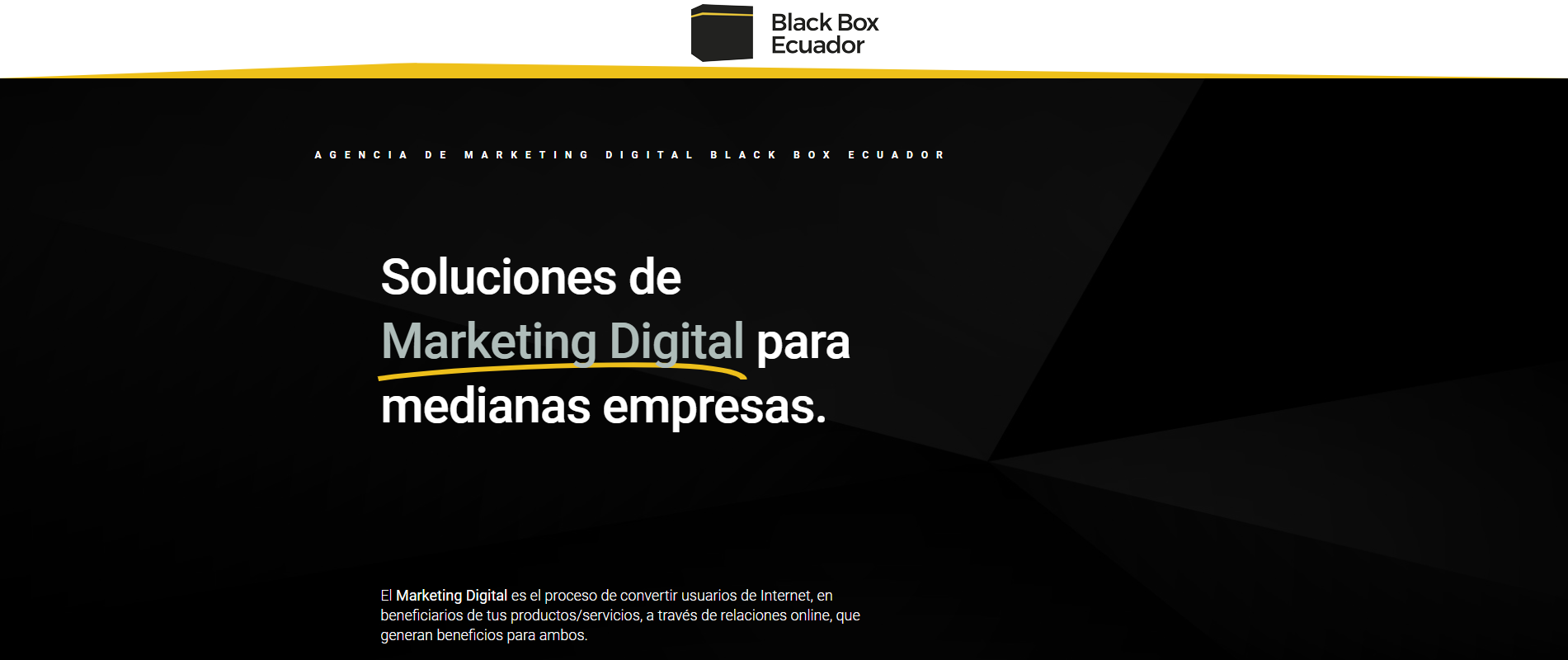 Las Mejores 10 Agencias De Marketing Digital Ecuador